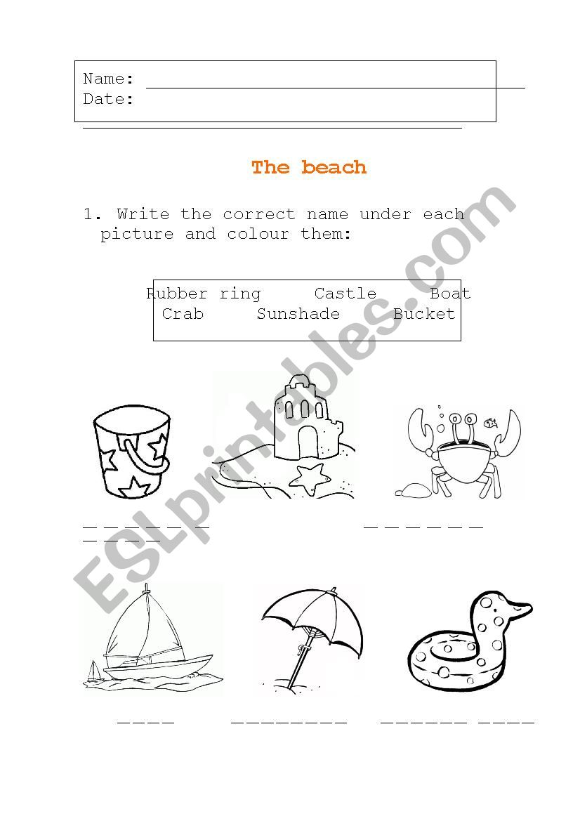 The beach worksheet