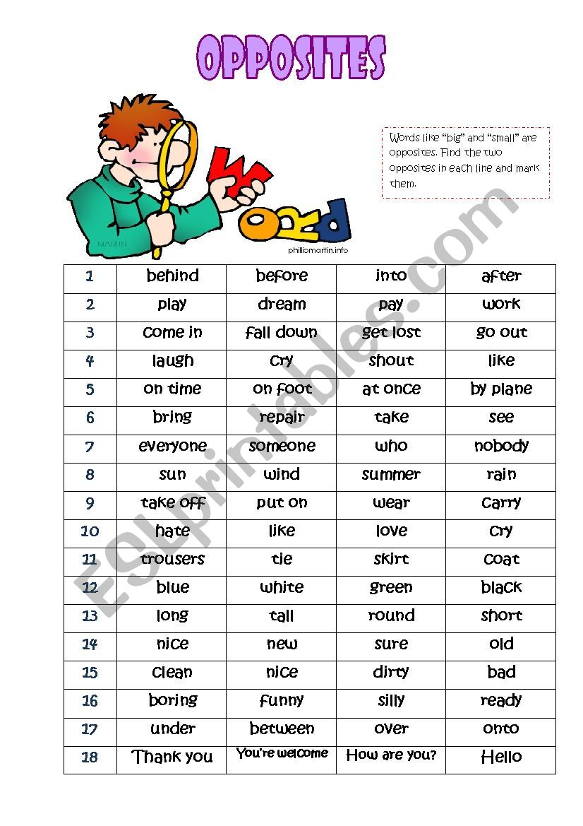 Opposites worksheet