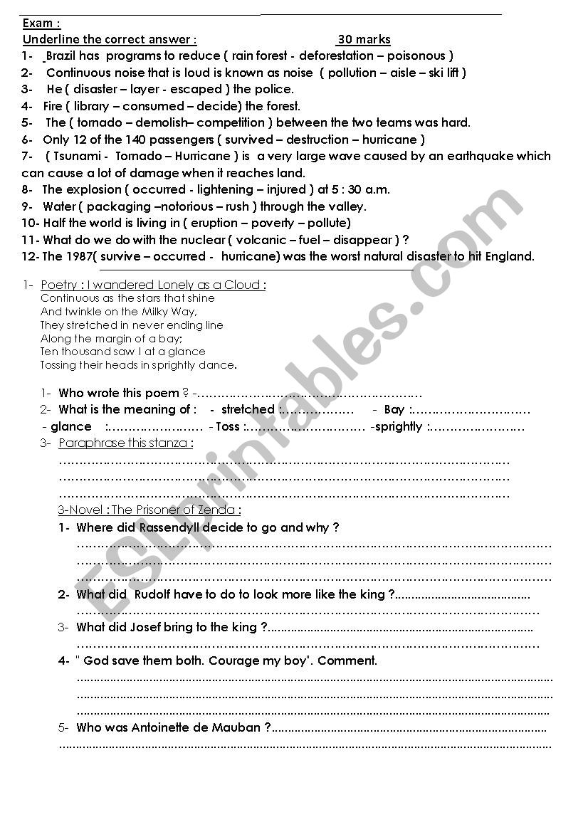 Exercise worksheet