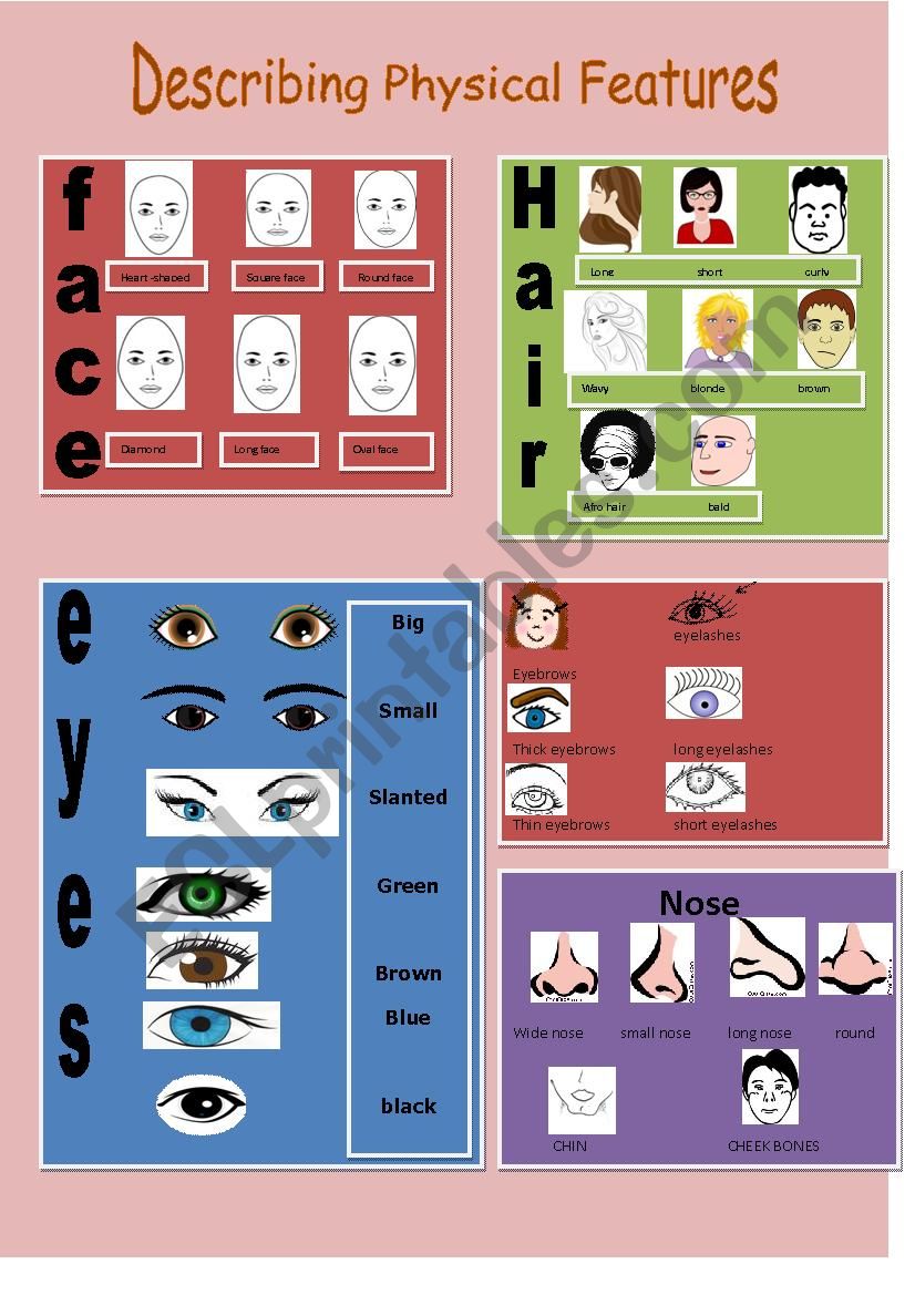 describing physical features worksheet