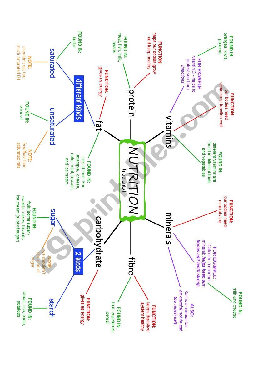 NUTRITION and NUTRIENTS Mind Map (Concept Map) plus exercises