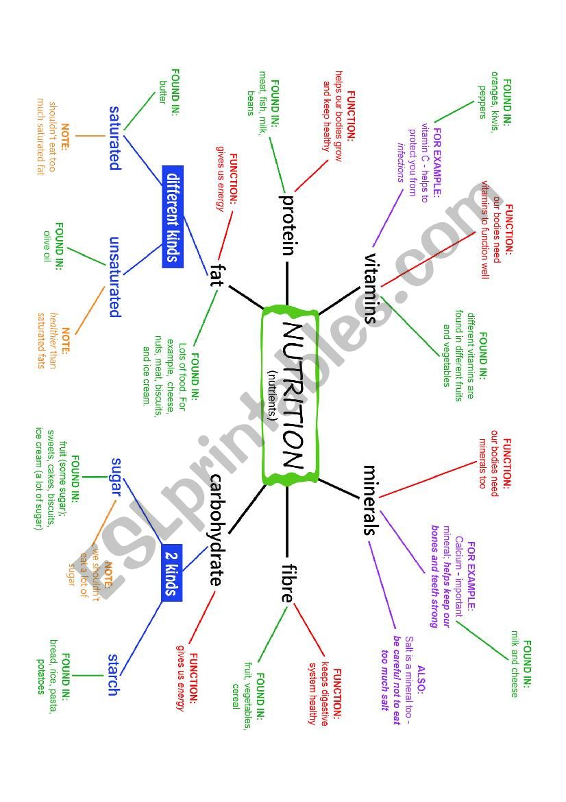 Nutrition Concept Map