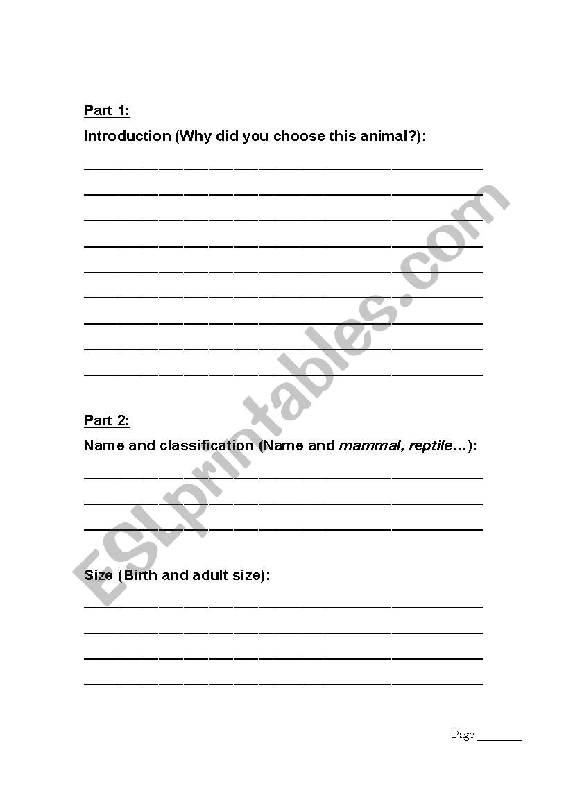 Animal Report Outline worksheet