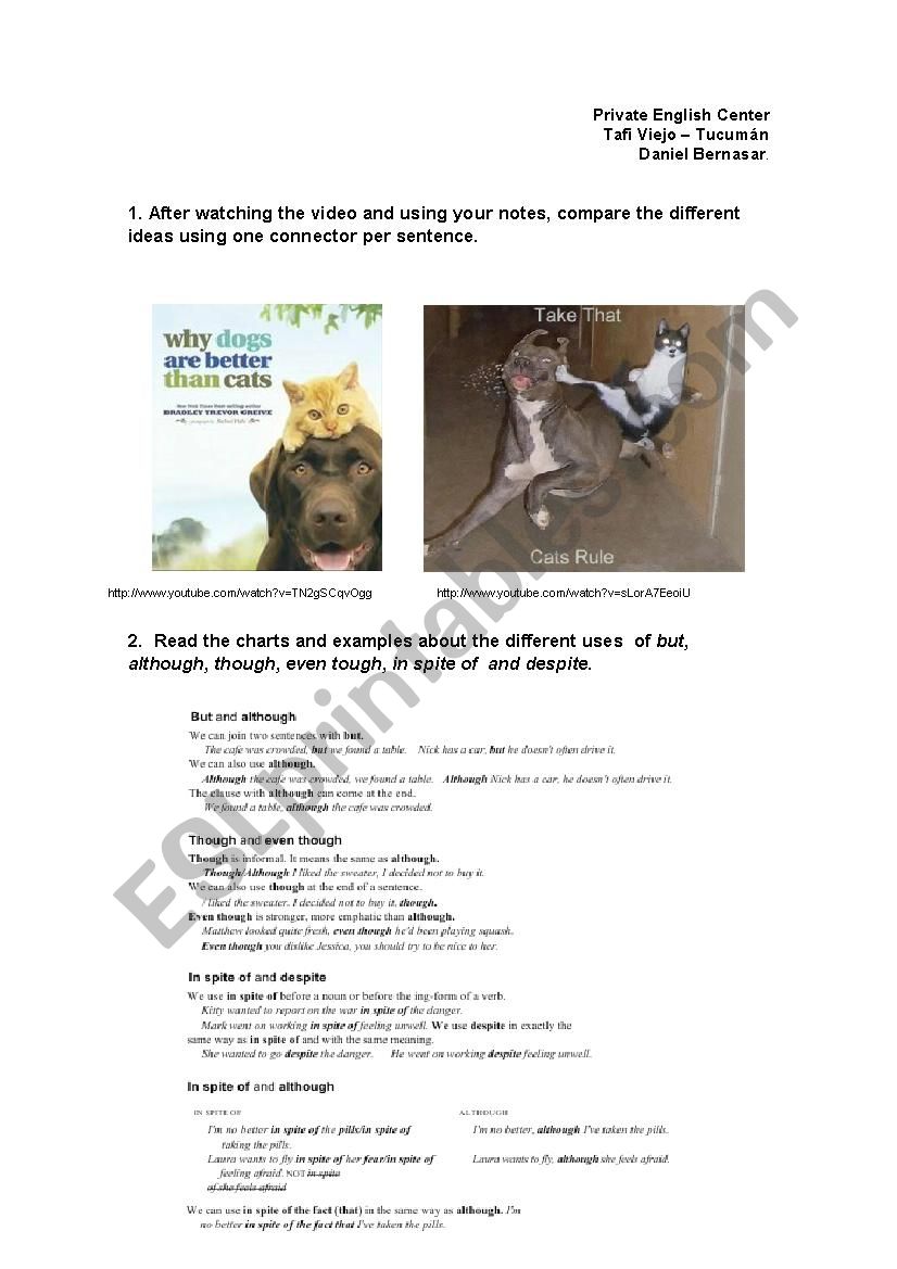 Dogs Vs. Cats worksheet