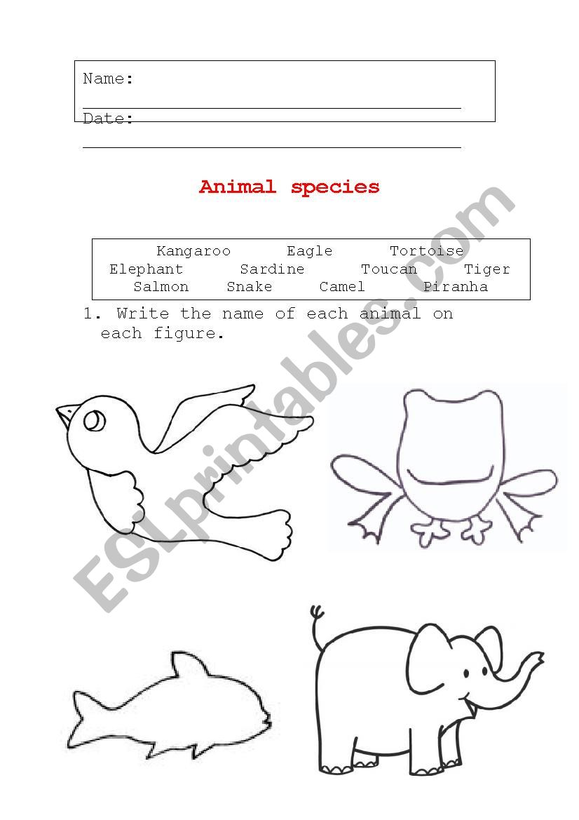 Animal species worksheet