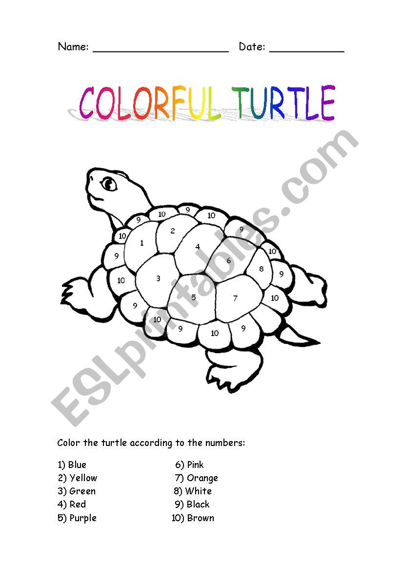 Colorful Turtle worksheet