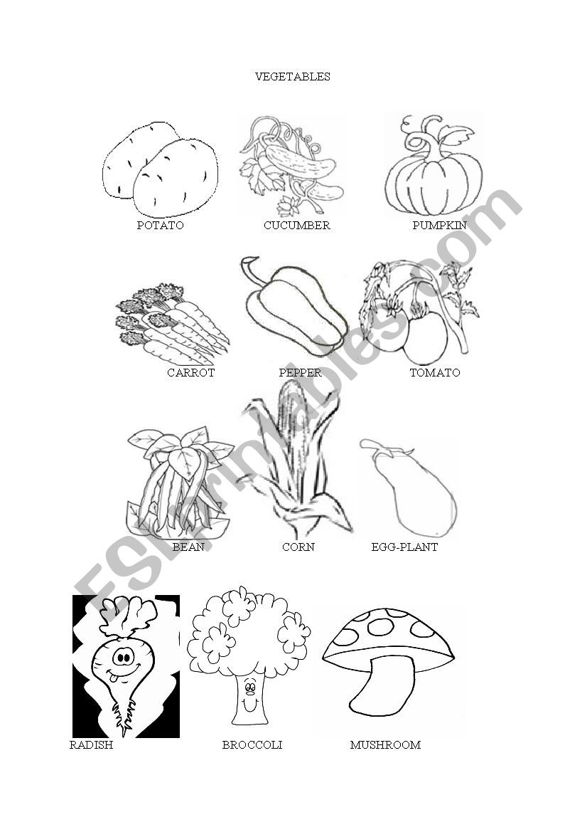 Vegetables worksheet