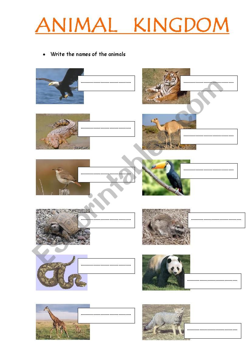 english-worksheets-animal-kingdom