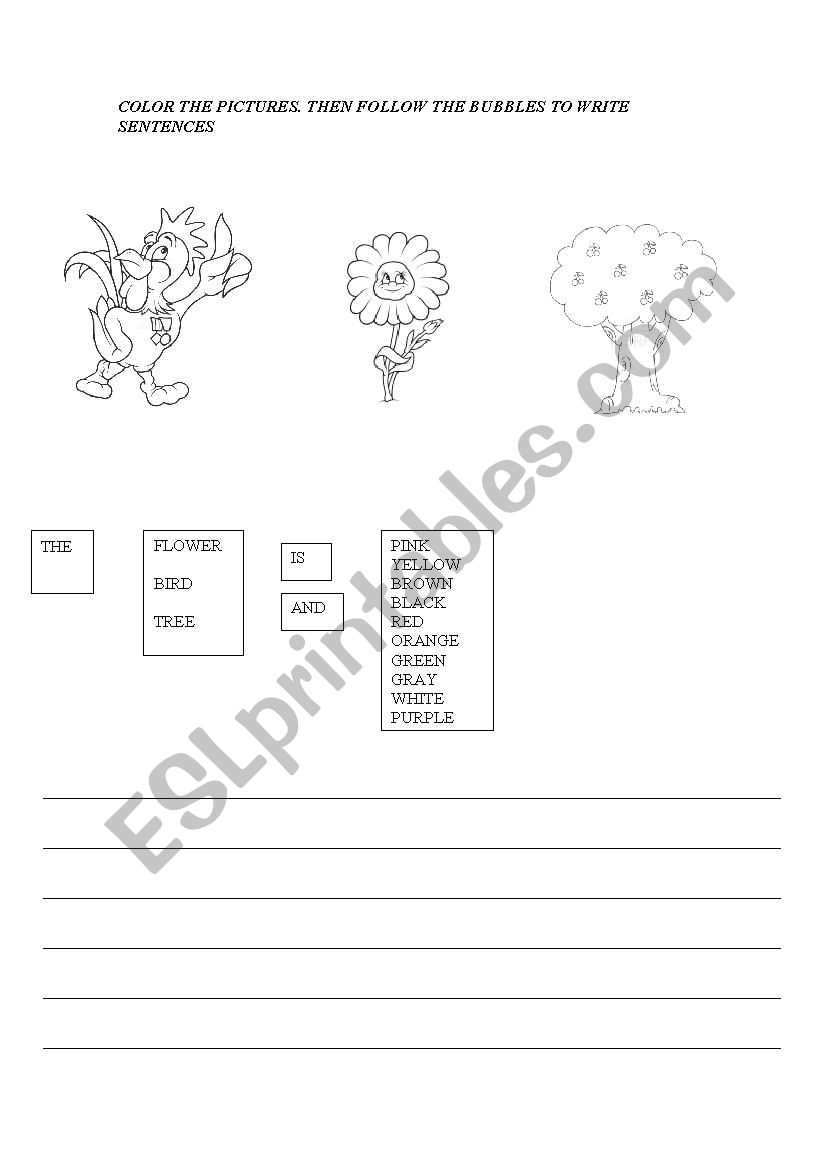 color the pictures. write. worksheet