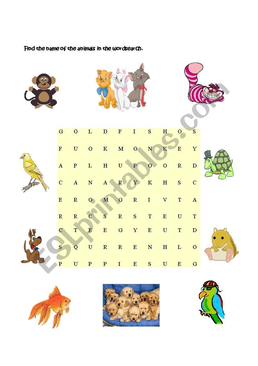Animals at home - Part III worksheet