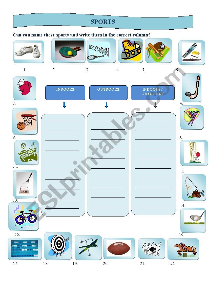 sports worksheet