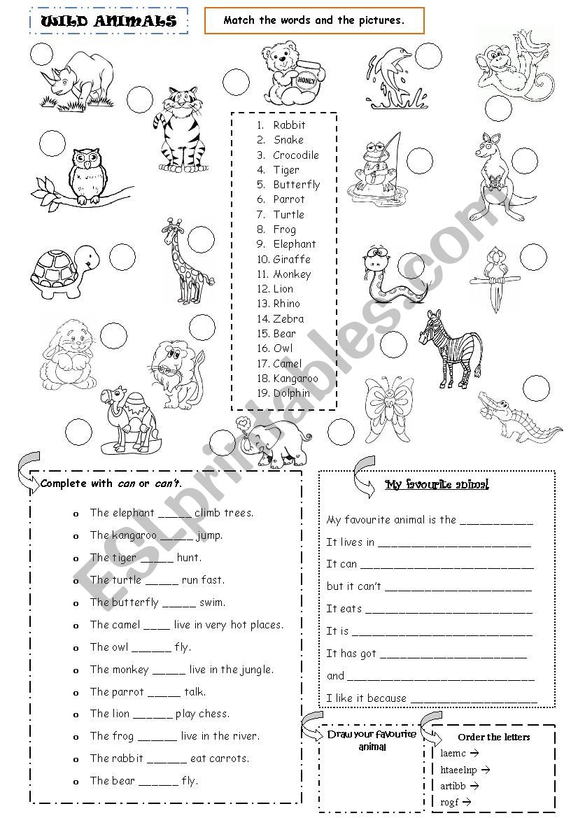 Wild Animals - Can / Cant worksheet