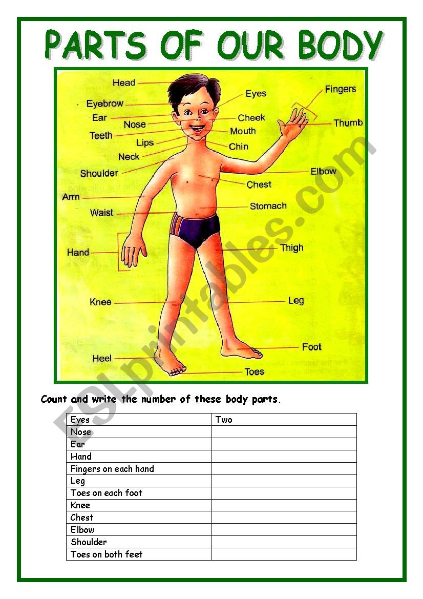 PARTS OF OUR BODY(Editable) (2 Pages)