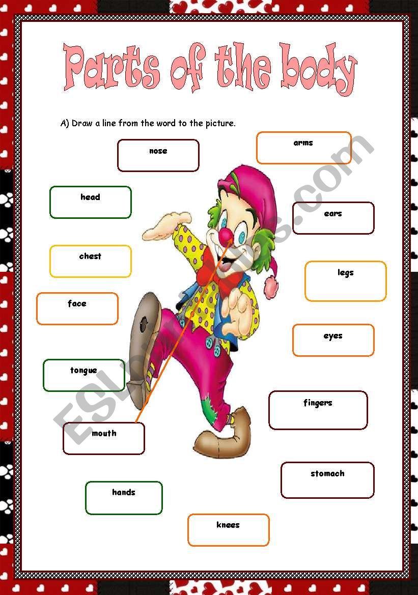  Parts of the body  worksheet