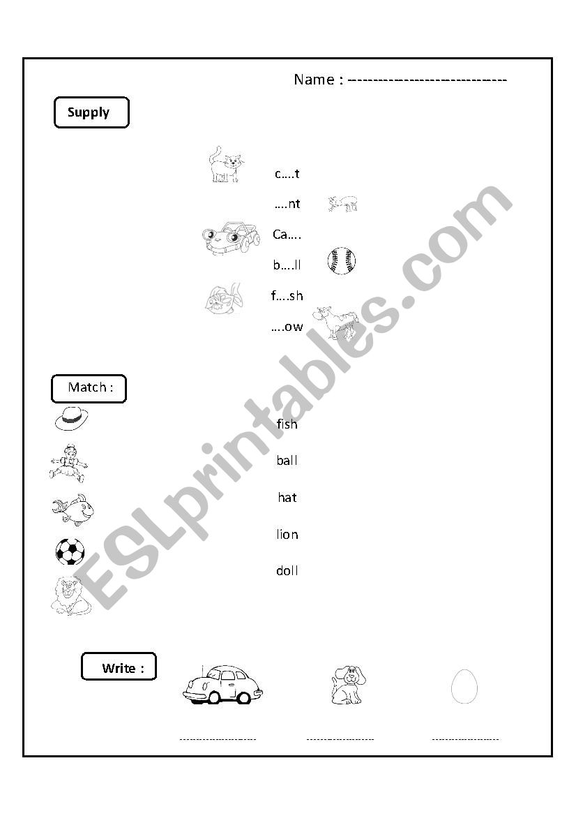 choose the correct answer  worksheet