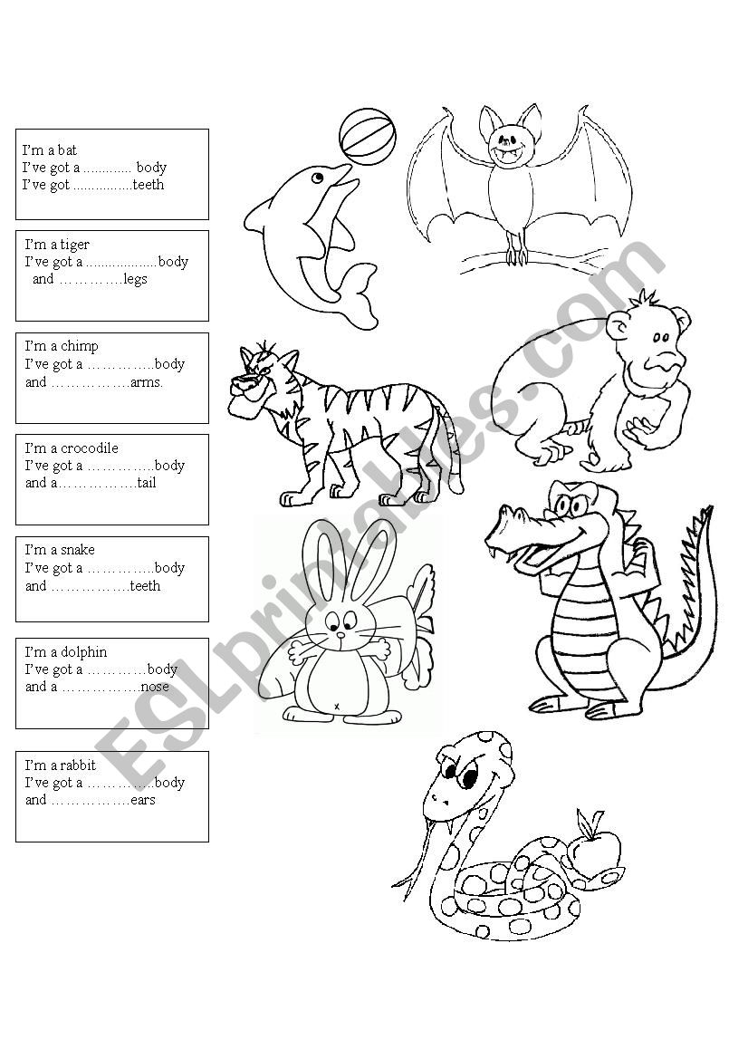 animals and parts of the body worksheet