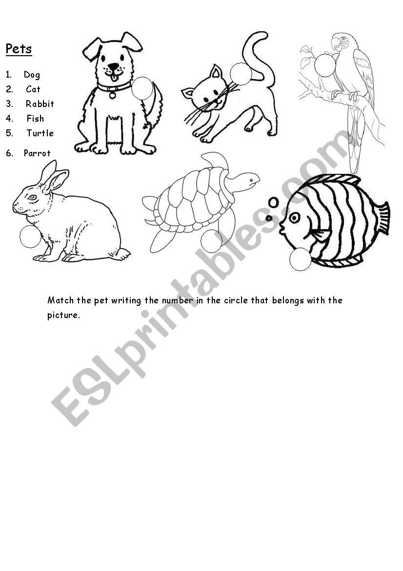 Pets worksheet