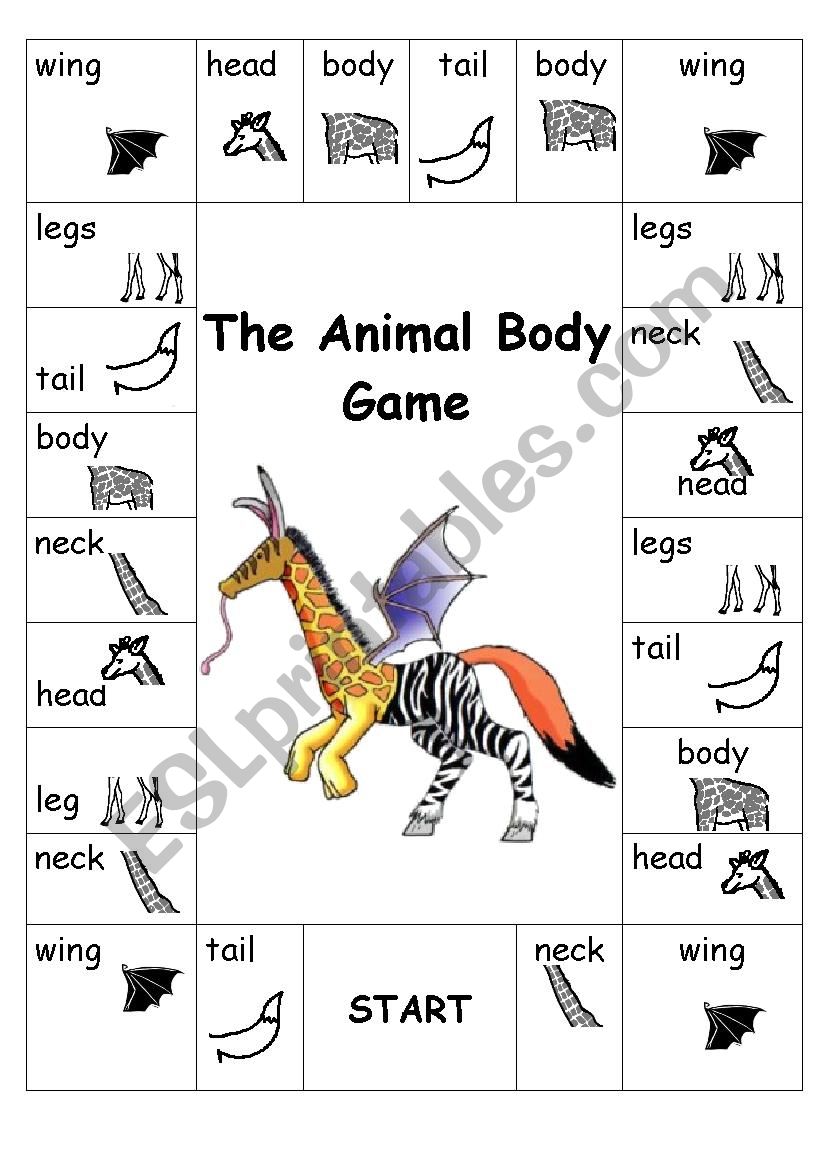 Animal body board game worksheet