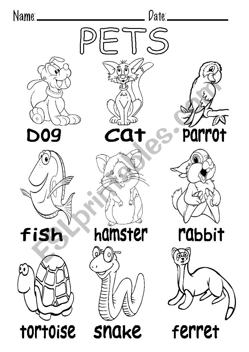 B&W VOCABULARY ABOUT PETS worksheet