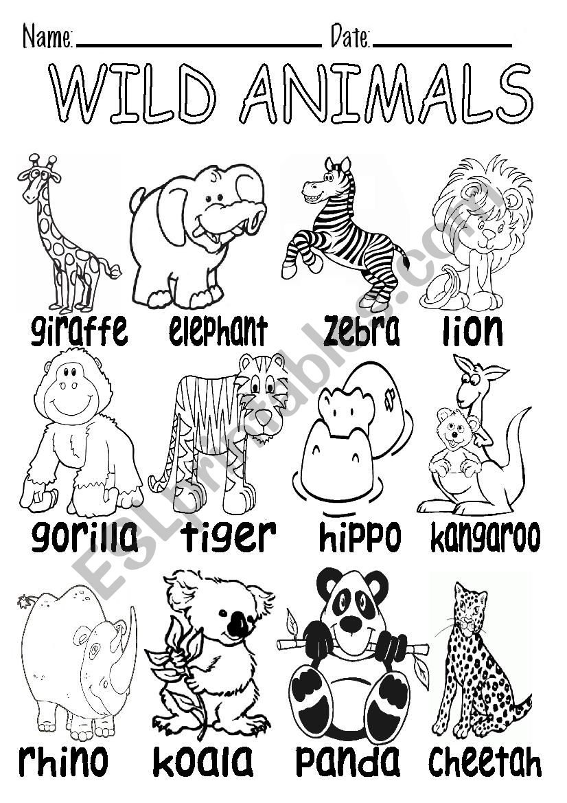 WILD ANIMALS B&W VOCABULARY worksheet