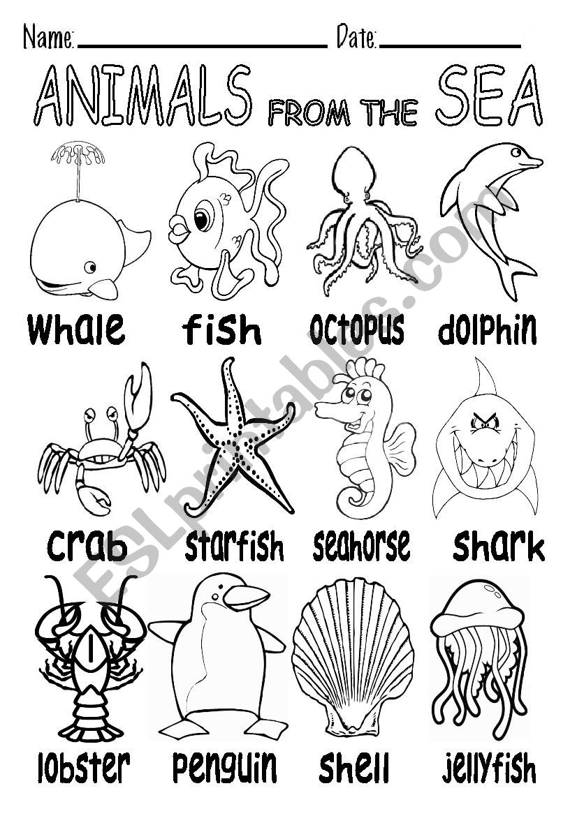 ANIMALS FROM THE SEA B&W worksheet