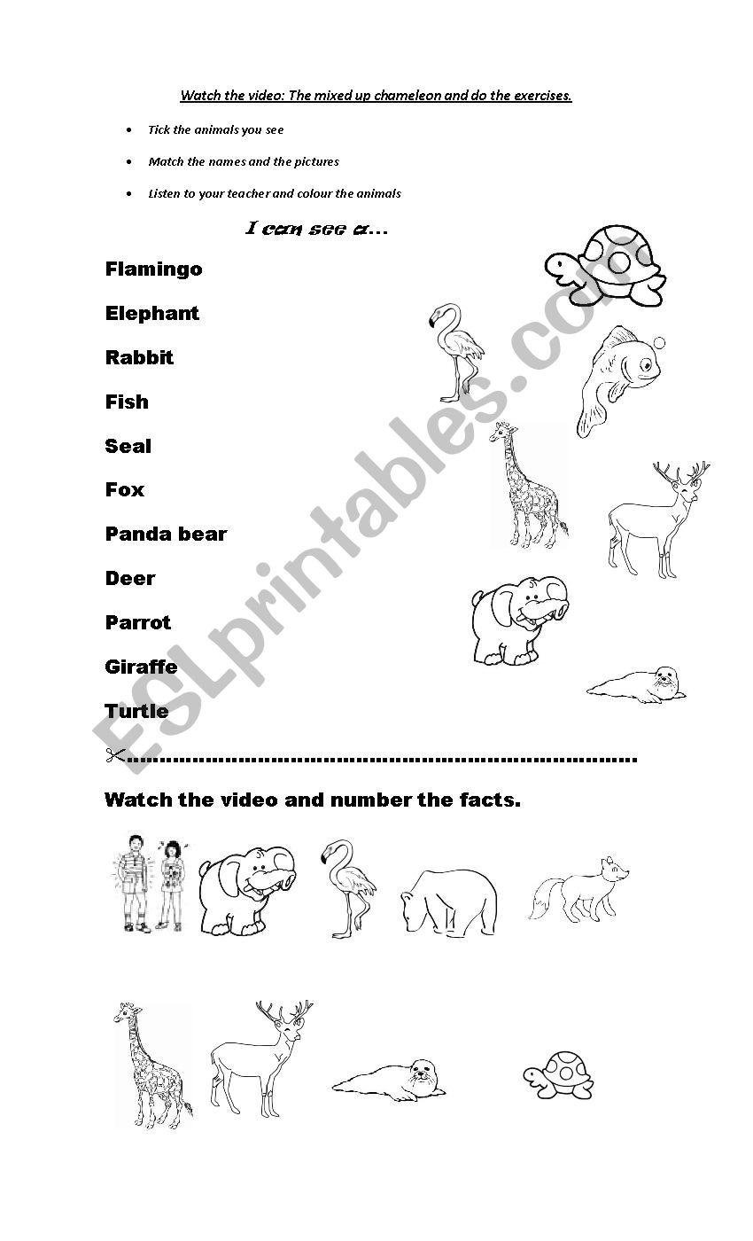 The mixed up chamaleon worksheet