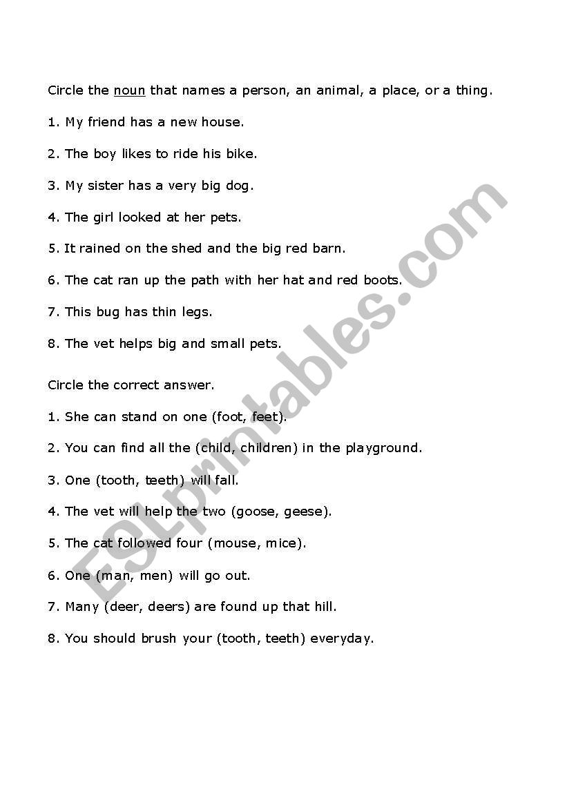 nouns worksheet