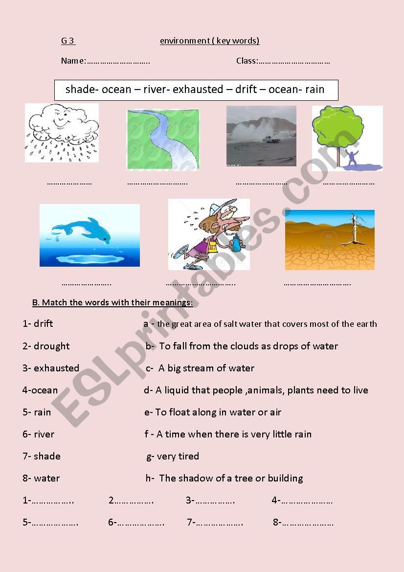 Environment worksheet