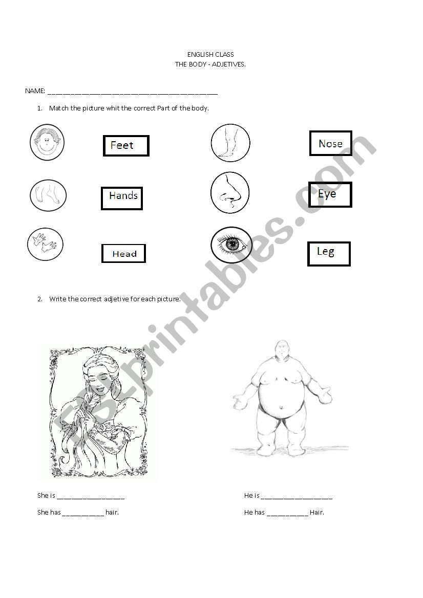 The Body -Adjetives worksheet