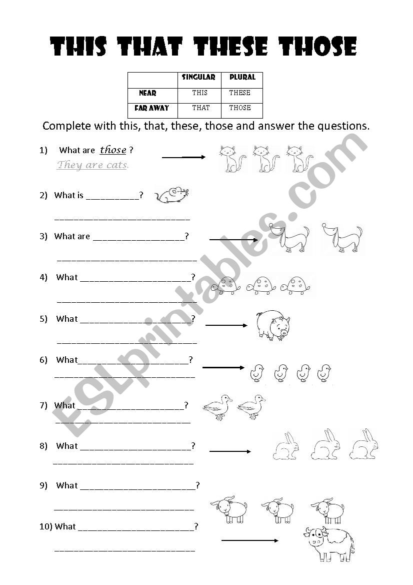 What are they? worksheet