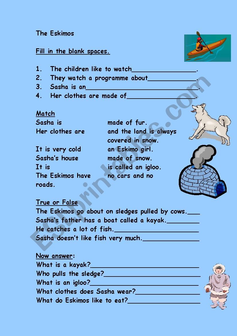 comprehension worksheet