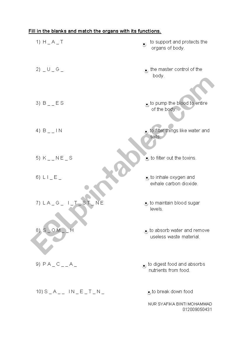 PARTS OF ORGANS worksheet