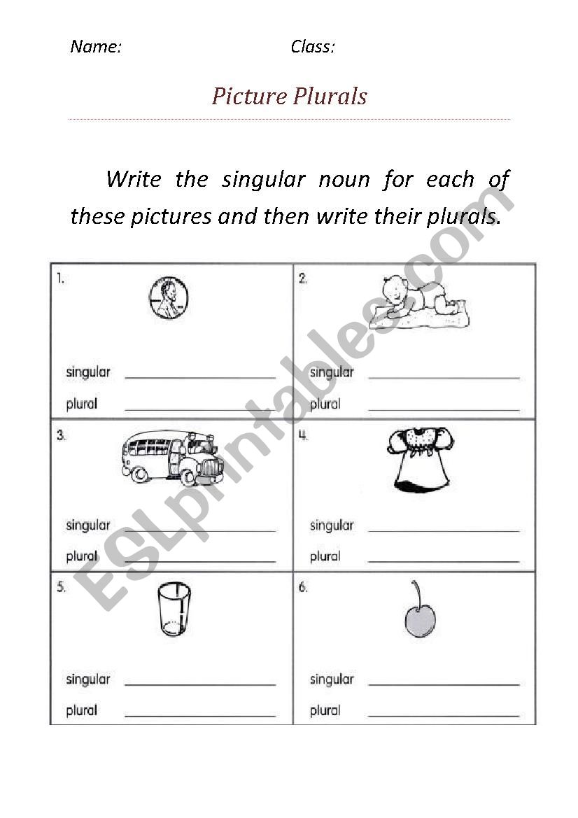 singular and plural worksheet