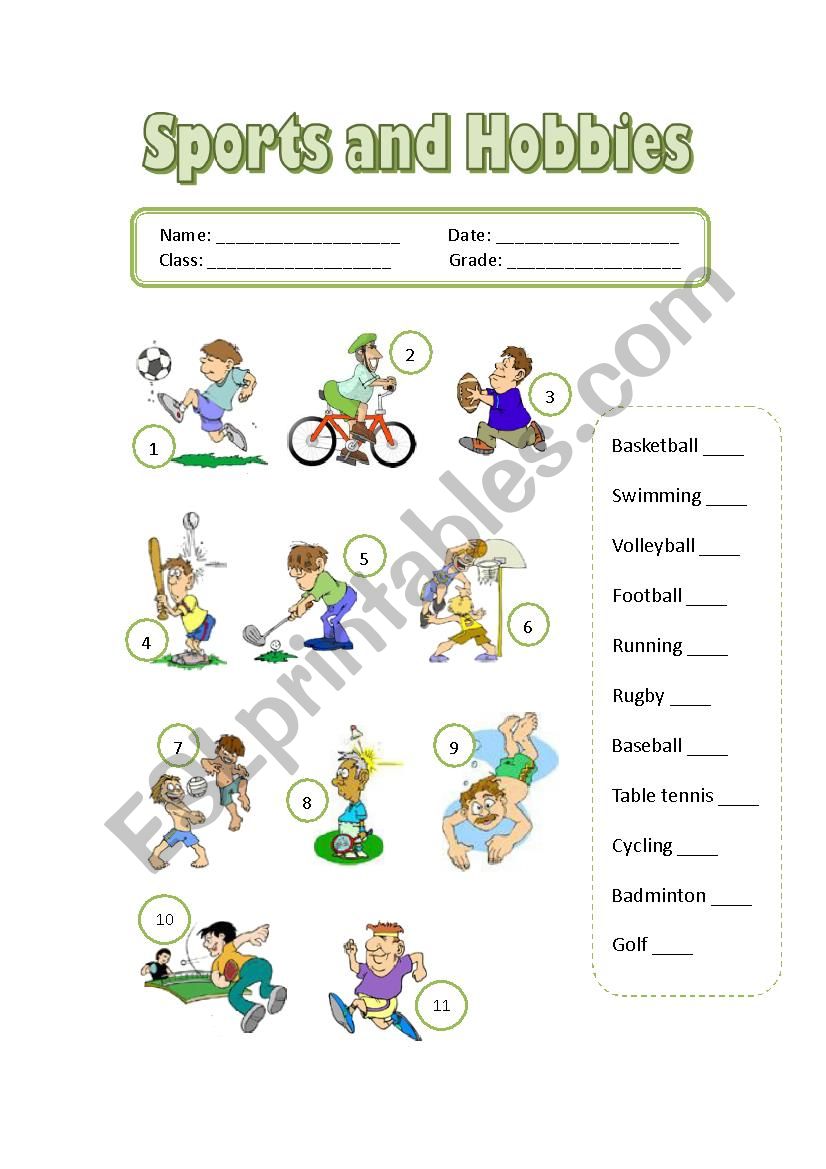 Sports and Hobbies worksheet