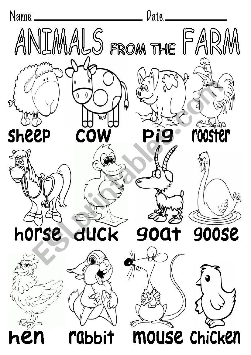 ANIMALS FROM THE FARM B&W worksheet