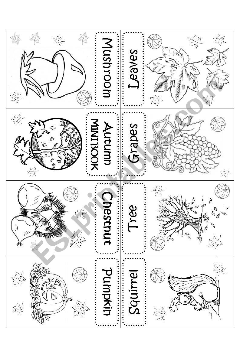 AUTUMN MINI BOOK worksheet