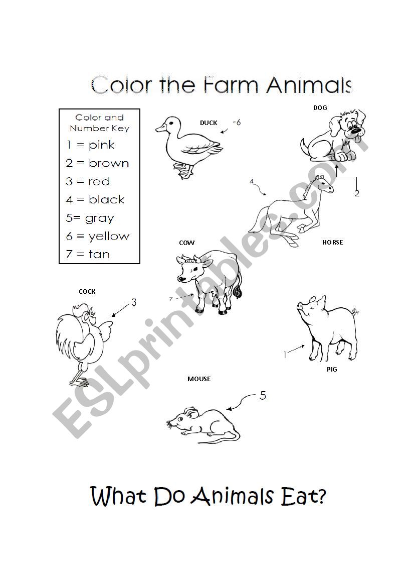 Animals worksheet