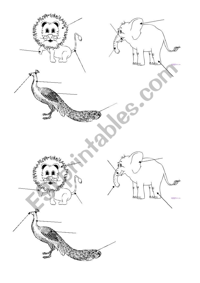 Parts of animals body worksheet