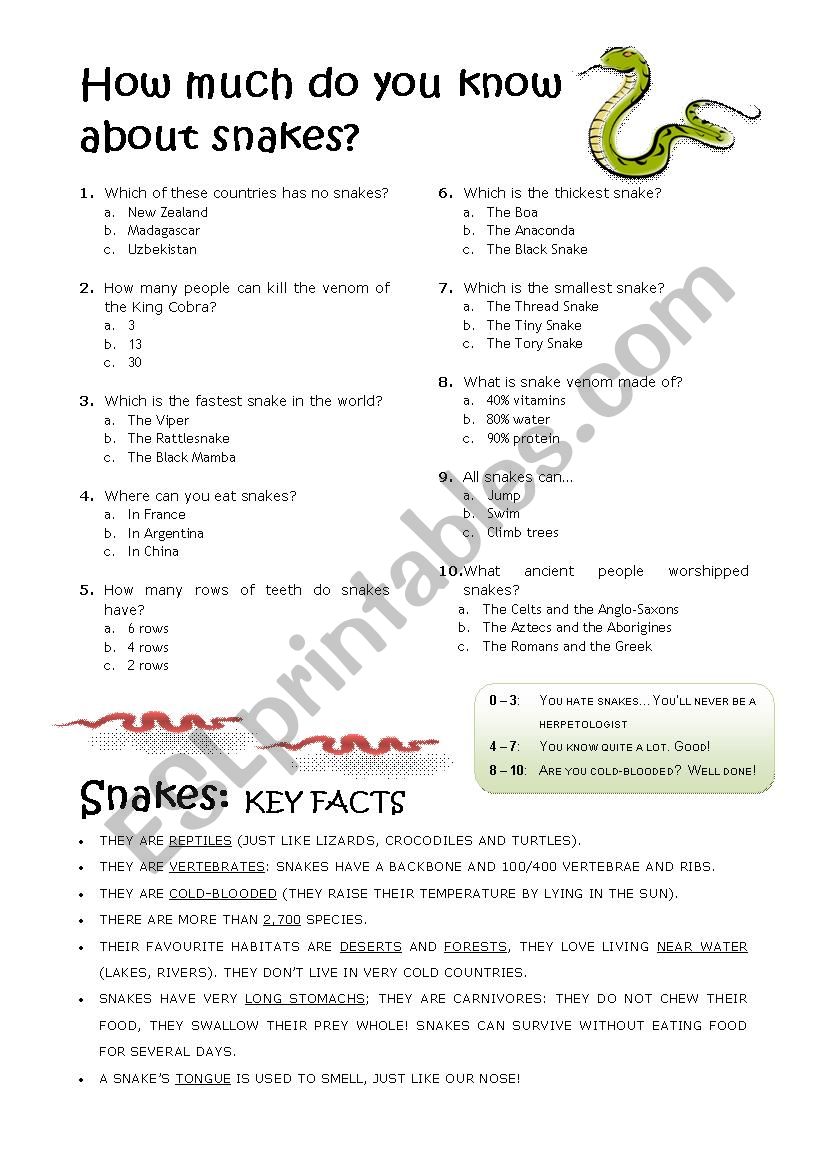 Snakes worksheet