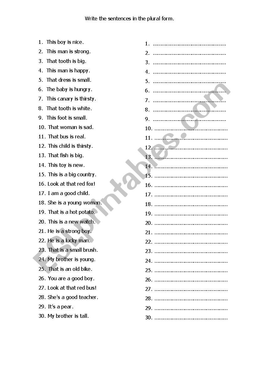 plural sentences worksheet
