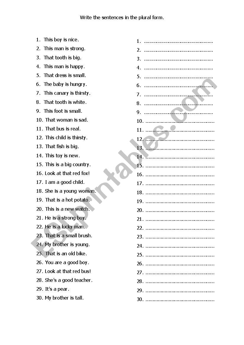 plural sentences worksheet