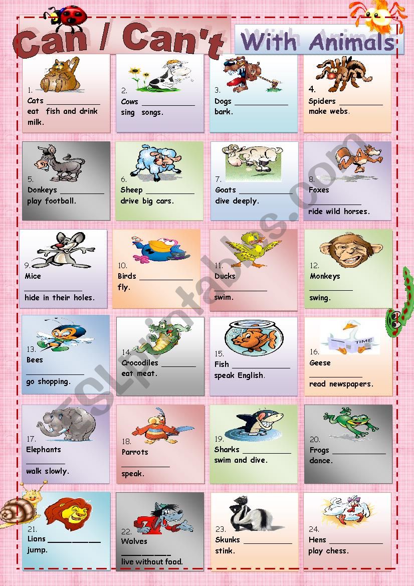 СAN / CANÂ´T WITH ANIMALS(+ keys)