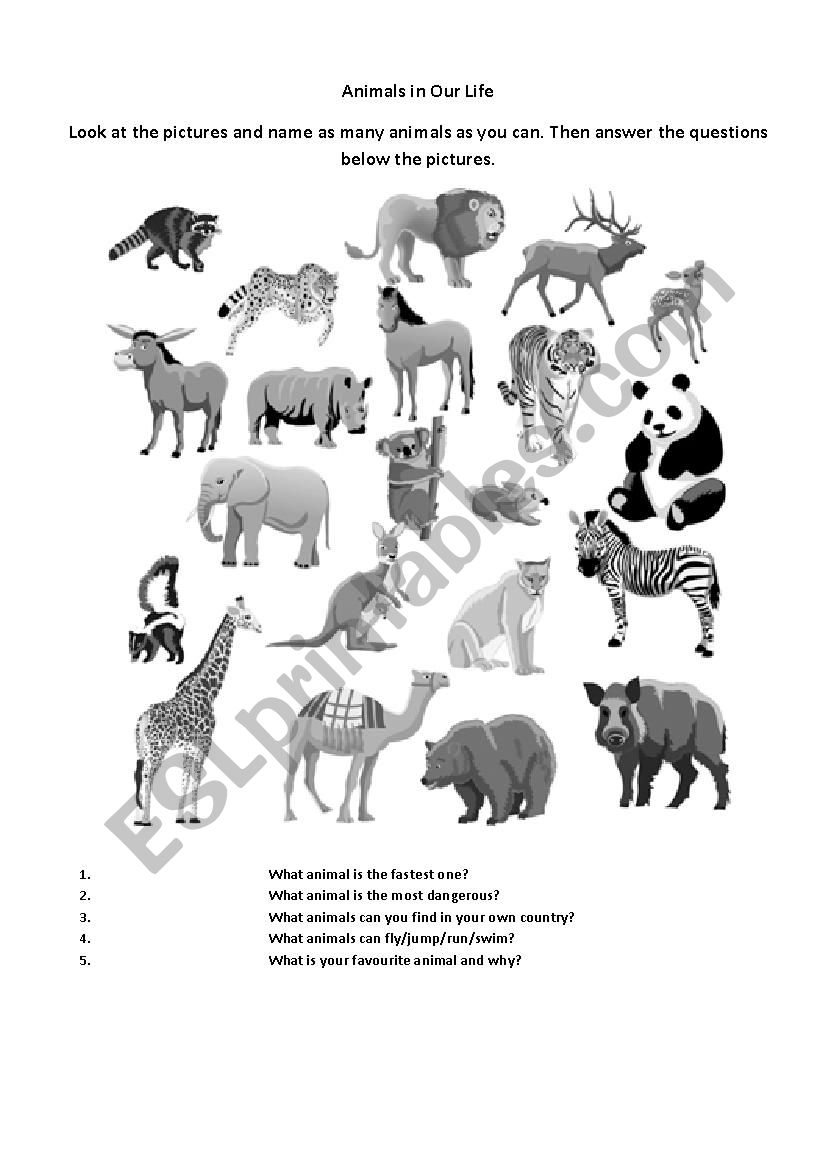 Animals in our life worksheet