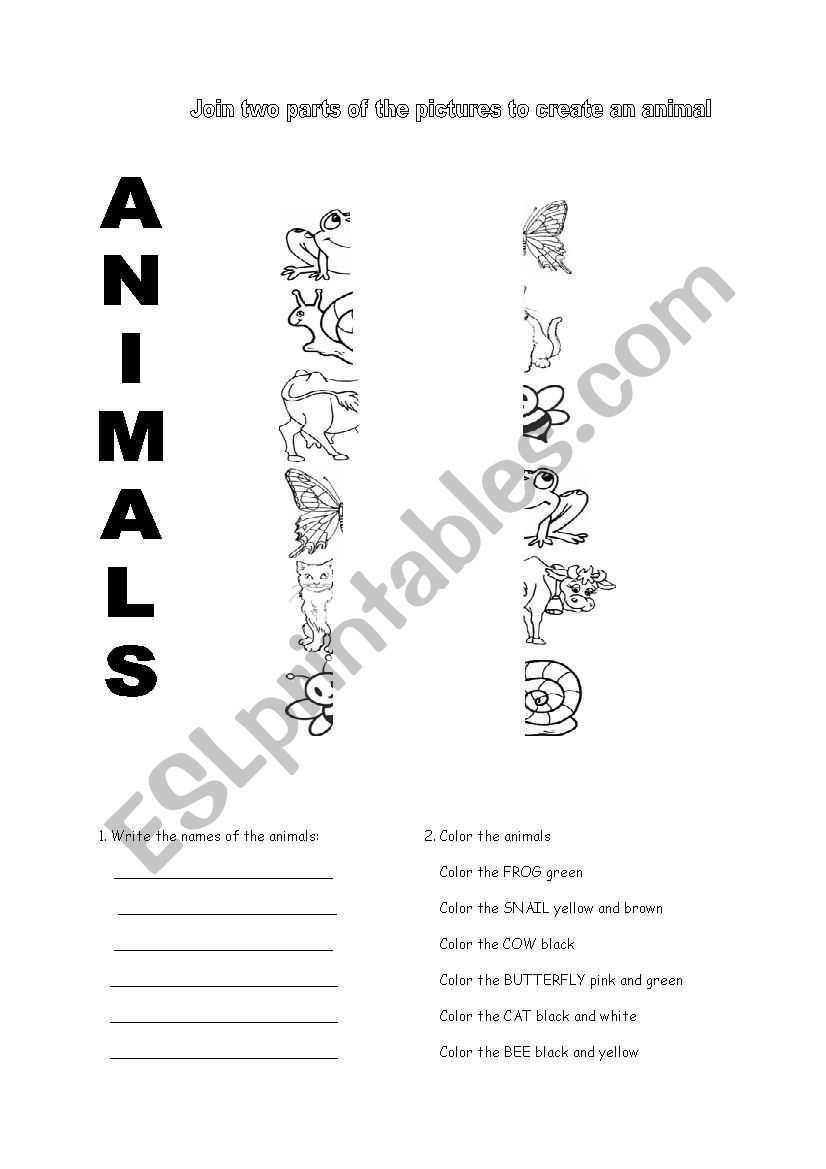 Animals worksheet