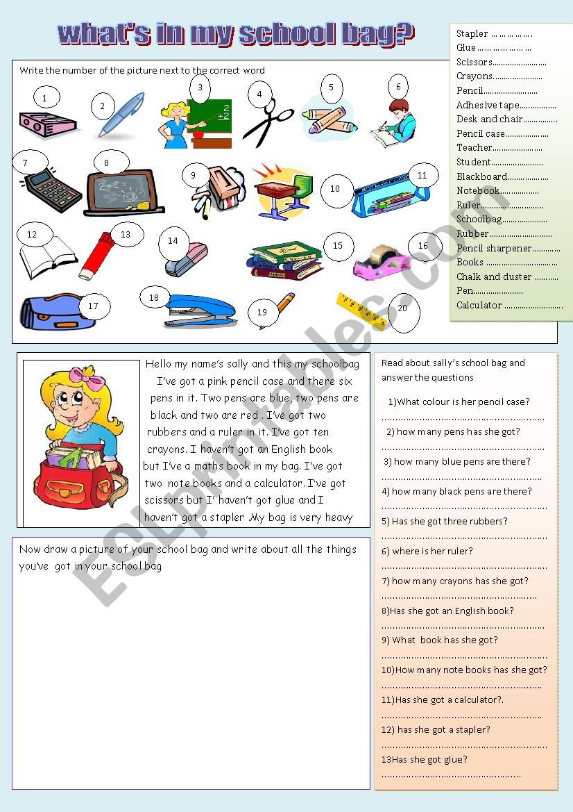  Whats in your school bag? worksheet