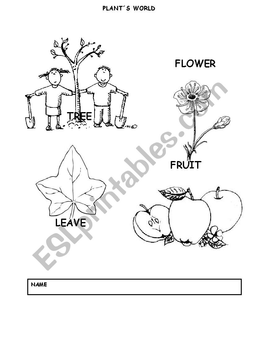 PLANTS WORLD worksheet