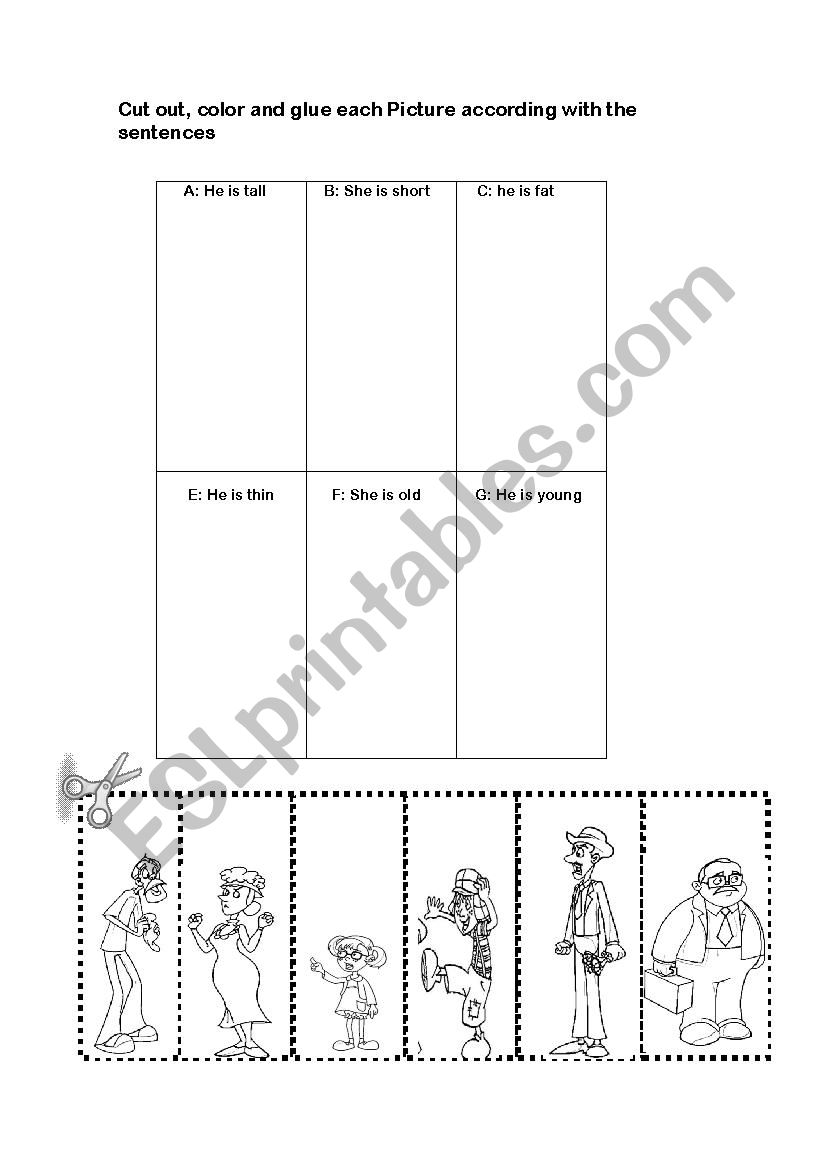 Physical appearence worksheet