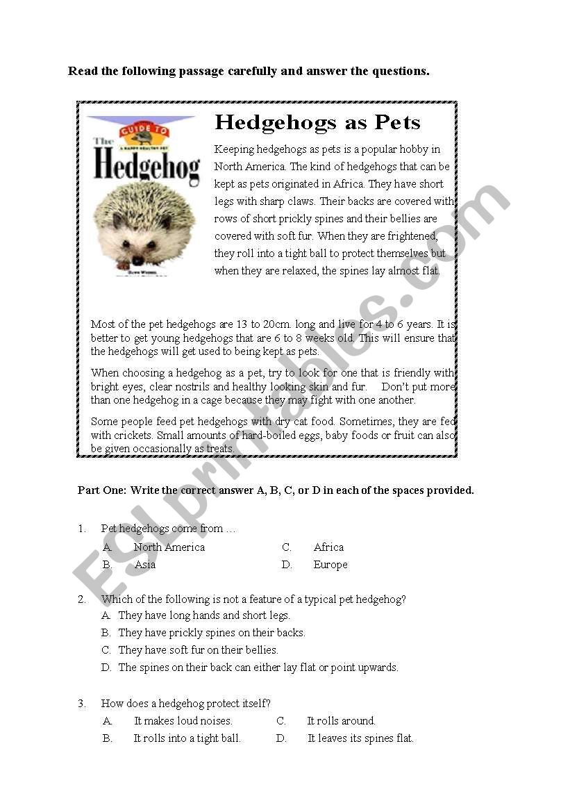 Hedgehogs as Pets worksheet