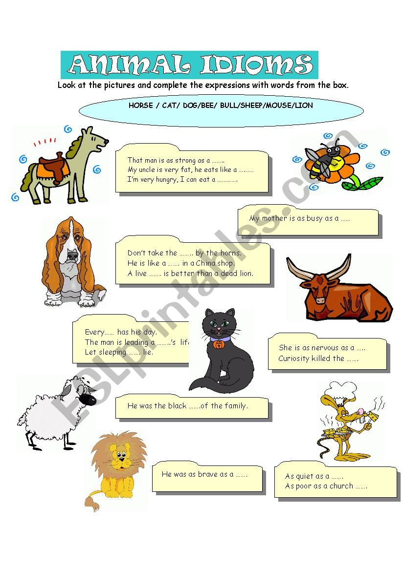 ANIMAL IDIOMS worksheet