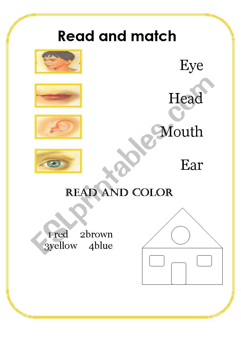 body parts worksheet